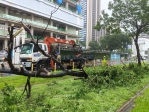 雨炸高雄傾倒樹木與輕軌列車擦撞