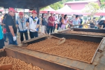 中寮龍眼文化季熱鬧登場　傳統起灶飄香行銷在地優質農產（圖3縣府提供）