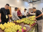 2026年臺南市文旦大賽揭曉 麻豆區郭嘉城農友榮獲文旦王殊榮