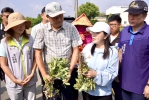 八月豪雨致雲林落花生延遲性災損 立委張嘉郡爭取全縣災損補助 今赴虎尾、土庫、北港勘災 籲農業部「從速、從寬、從簡」救助！